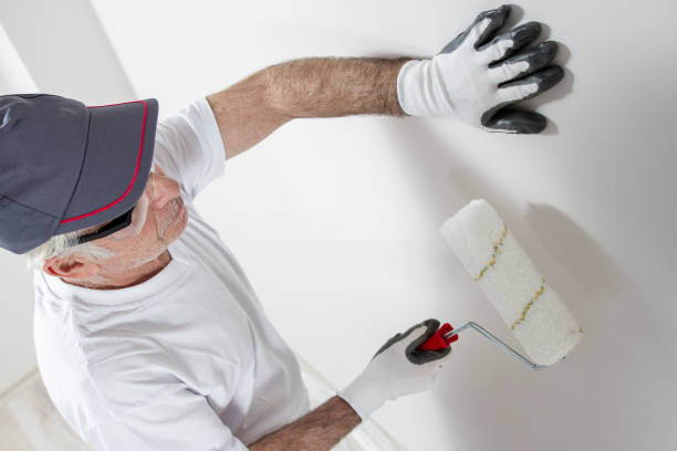 Best Mold Documentation for Insurance Claims  in Desert Hills, AZ