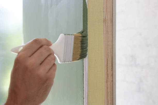 Professional Mold Removal in Desert Hills, AZ