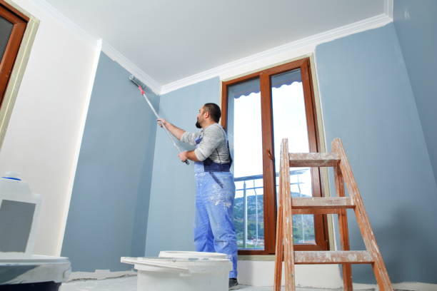 Best Environmental Consulting for Mold Prevention  in Desert Hills, AZ