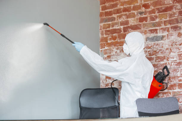 Best Industrial Mold Remediation  in Desert Hills, AZ