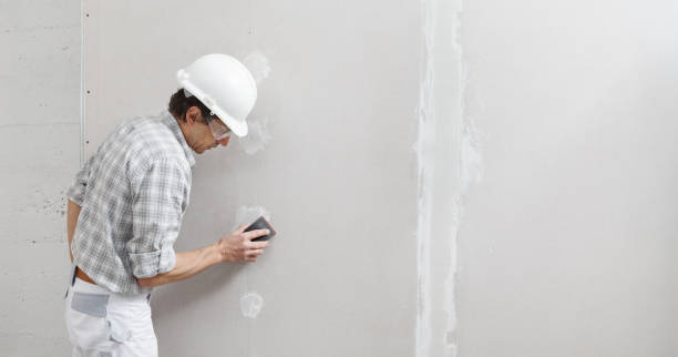  Desert Hills, AZ Mold Removal Pros