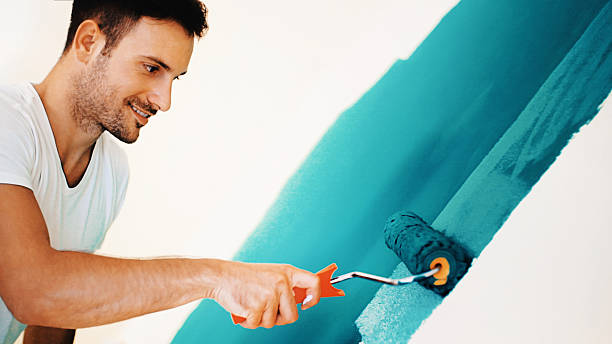 Best Black Mold Removal  in Desert Hills, AZ