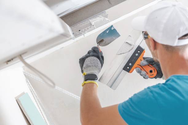 Best Comprehensive Air Testing for Mold Contaminants  in Desert Hills, AZ